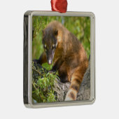 Zuid-Amerikaanse Coati-tak Metalen Ornament (Rechts)