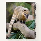 Zuid-Amerikaanse Coati-tak Notitieboek (Achterkant)