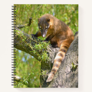 Zuid-Amerikaanse Coati-tak Notitieboek