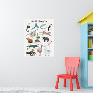 Zuid-Amerikaanse Dieren Onderwijs Klaslokaal Poster