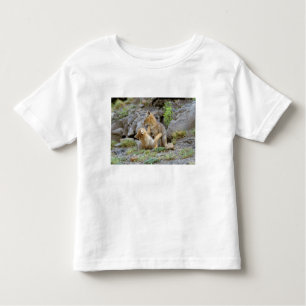 Zuid-Amerikaanse Gray Fox (Lycalopex griseus) paar Kinder Shirts