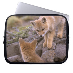 Zuid-Amerikaanse grijze vos (Lycalopex griseus) pa Laptop Sleeve