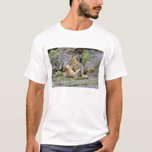 Zuid-Amerikaanse grijze vos (Lycalopex griseus) pa T-shirt