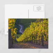 Zuid-Australië, Adelaide Hills, Summertown 2 Briefkaart (Voorkant / Achterkant)