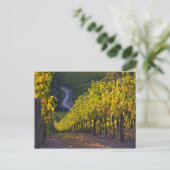 Zuid-Australië, Adelaide Hills, Summertown 2 Briefkaart (Staand voorkant)