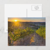 Zuid-Australië, Adelaide Hills, Summertown. Briefkaart (Voorkant / Achterkant)