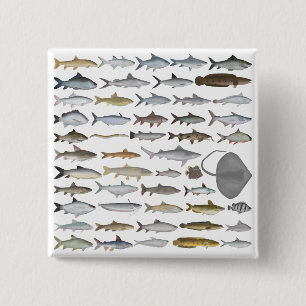 Zuid-Azië Zoetwatervis Groep Vierkante Button 5,1 Cm