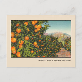 Zuid-Californië Oranje Grove Linen Briefkaart