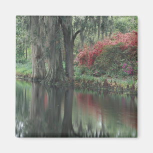 Zuid Carolina, Charleston Magneet