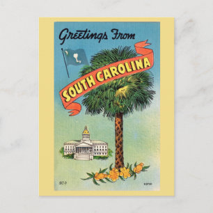 Zuid-Carolina's Cabbage Palm Briefkaart