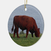 Zuid-Devon-koe aan de afgelegen kust Keramisch Ornament (Links)