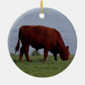 Zuid-Devon-koe aan de afgelegen kust Keramisch Ornament (Achterkant)