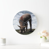 Zuid-Devon Lambe graast op wilde kust Grote Klok (Huis)