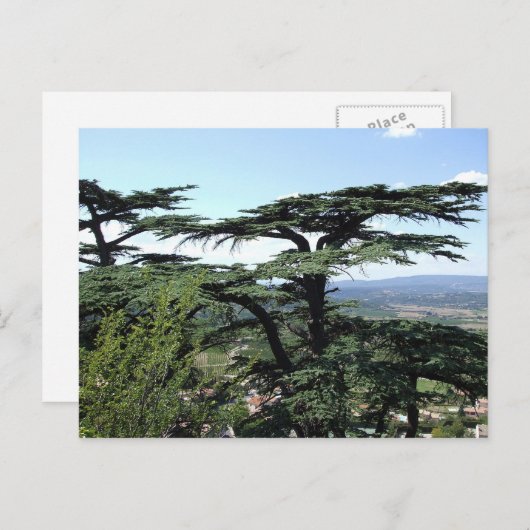 Zuid-Frankrijk Briefkaart (Voorkant / Achterkant)