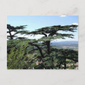 Zuid-Frankrijk Briefkaart (Voorkant)