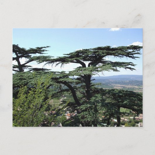 Zuid-Frankrijk Briefkaart (Voorkant)