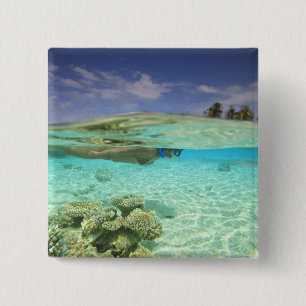 Zuid Huvadhoo-atol, Zuidelijke Malediven, Indische Vierkante Button 5,1 Cm