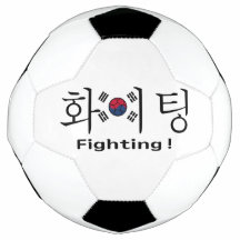 Zuid-Korea vechtend hangul en vlag supporter