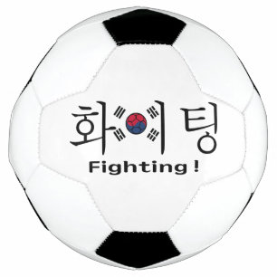 Zuid-Korea vechtend hangul en vlag supporter Voetbal