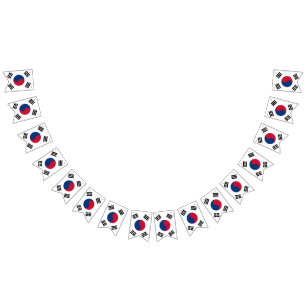 Zuid-Koreaanse vlag Vlaggetjes