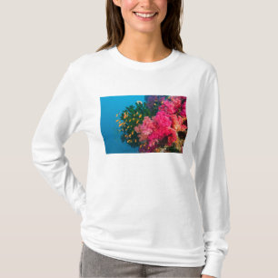 Zuid-Pacific, Fiji, Viti Levu, Bligh Water, T-shirt