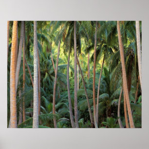 Zuid Pacific, Frans-Polynesië, Bora Bora. Poster