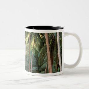 Zuid-Pacific, Frans-Polynesië, Bora Bora. Tweekleurige Koffiemok