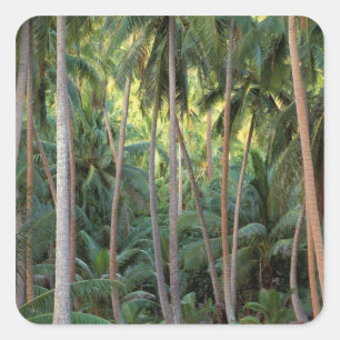 Zuid-Pacific, Frans-Polynesië, Bora Bora. Vierkante Sticker