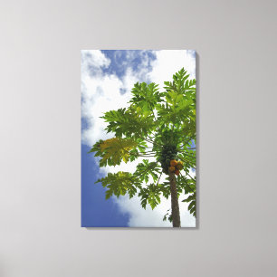 Zuid Pacific, Frans-Polynesië, Moorea. 2 Canvas Afdruk