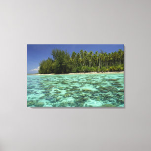 Zuid-Pacific, Frans-Polynesië, Moorea 3 Canvas Afdruk