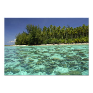Zuid-Pacific, Frans-Polynesië, Moorea 3 Foto Afdruk