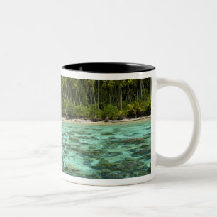 Zuid-Pacific, Frans-Polynesië, Moorea 3 Tweekleurige Koffiemok