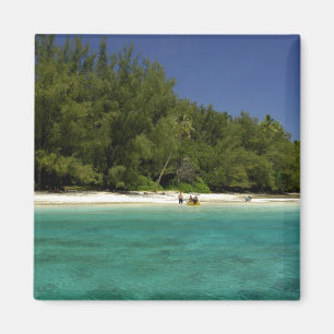 Zuid Pacific, Frans-Polynesië, Moorea Magneet