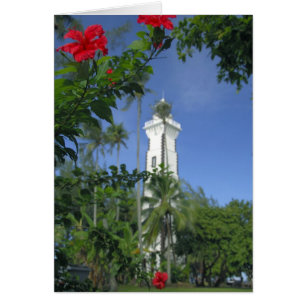 Zuid-Pacific, Frans-Polynesië, Tahiti. Hibiscus 2