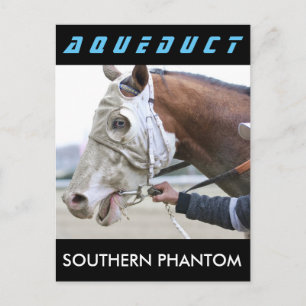 Zuid-Phantom Briefkaart
