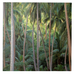 Zuid-Stille Oceaan, Frans-Polynesië, Bora Bora. Tegeltje