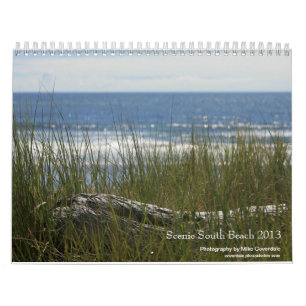 Zuid-strand Schilderachtig 2013 Kalender