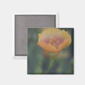 Zuid van Devine Texas langs Interstate 35 Magneet (Voorkant / Achterkant)