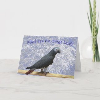 Zuid vliegen feestdagen kaart