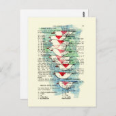 Zuid voor de winter briefkaart (Voorkant / Achterkant)