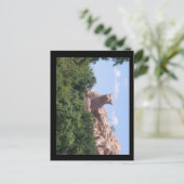 zuidelijk Afrika Briefkaart (Staand voorkant)