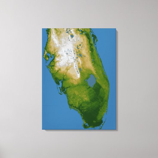 Zuidelijke Florida Canvas Afdruk (Voorkant)