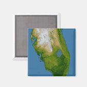 Zuidelijke Florida Magneet (Voorkant / Achterkant)