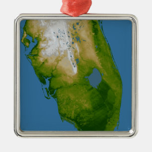 Zuidelijke Florida Metalen Ornament