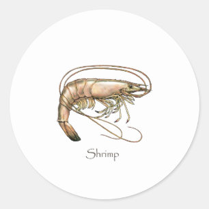 Zuidelijke Shrimp Art Logo Ronde Sticker