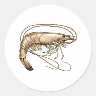 Zuidelijke Shrimp Art Ronde Sticker