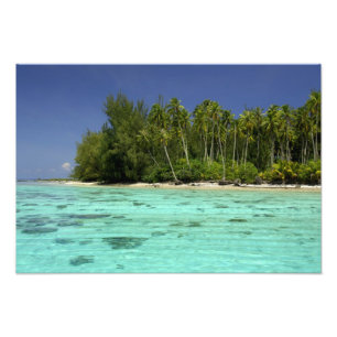 Zuidelijke Stille Oceaan, Frans-Polynesië, Moorea Foto Afdruk