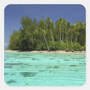 Zuidelijke Stille Oceaan, Frans-Polynesië, Moorea  Vierkante Sticker