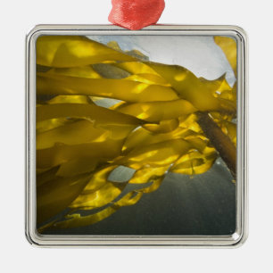 Zuidkant van Ewing Island, San Juan Islands, Metalen Ornament