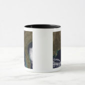 Zuidoost-Verenigde Staten Mok (Midden)